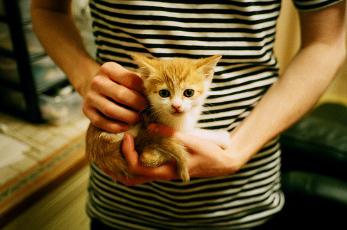 “雷霆队新战术奏效,逆袭夺胜”,雷霆队原来叫什么名字