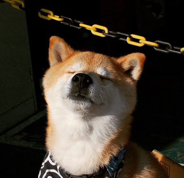 《未来电竞科技:云游戏与边缘计算的深度融合》,未来电竞俱乐部