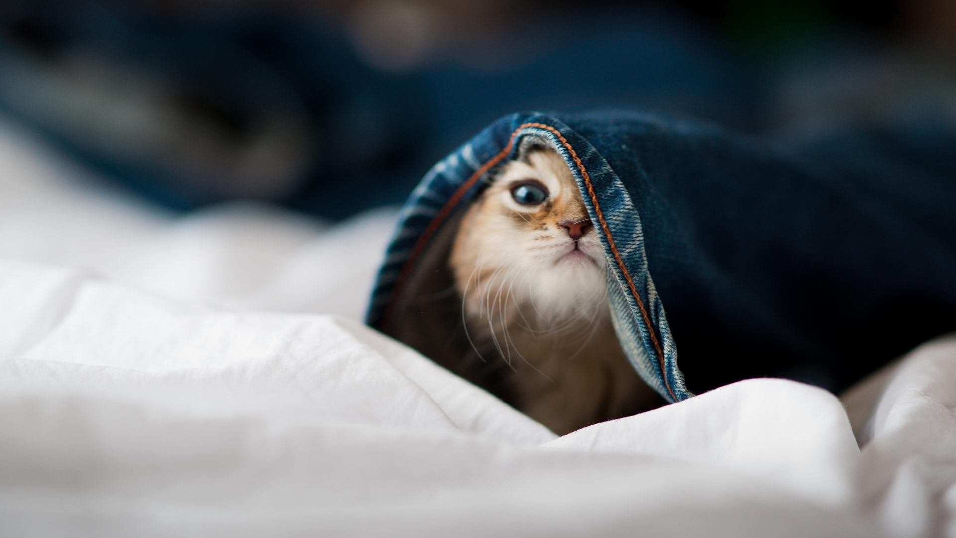 公益视角:台球运动助力心理健康宣传,台球心理障碍