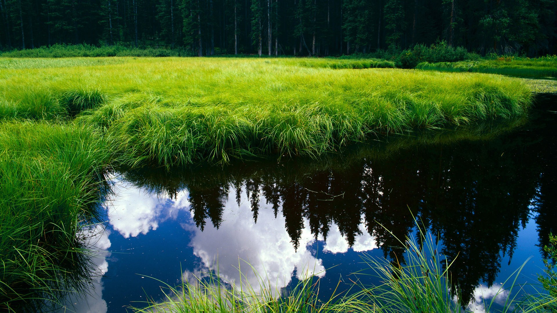 开云在线直播-兰斯“铁血防线”送出零封，兰斯红线之女