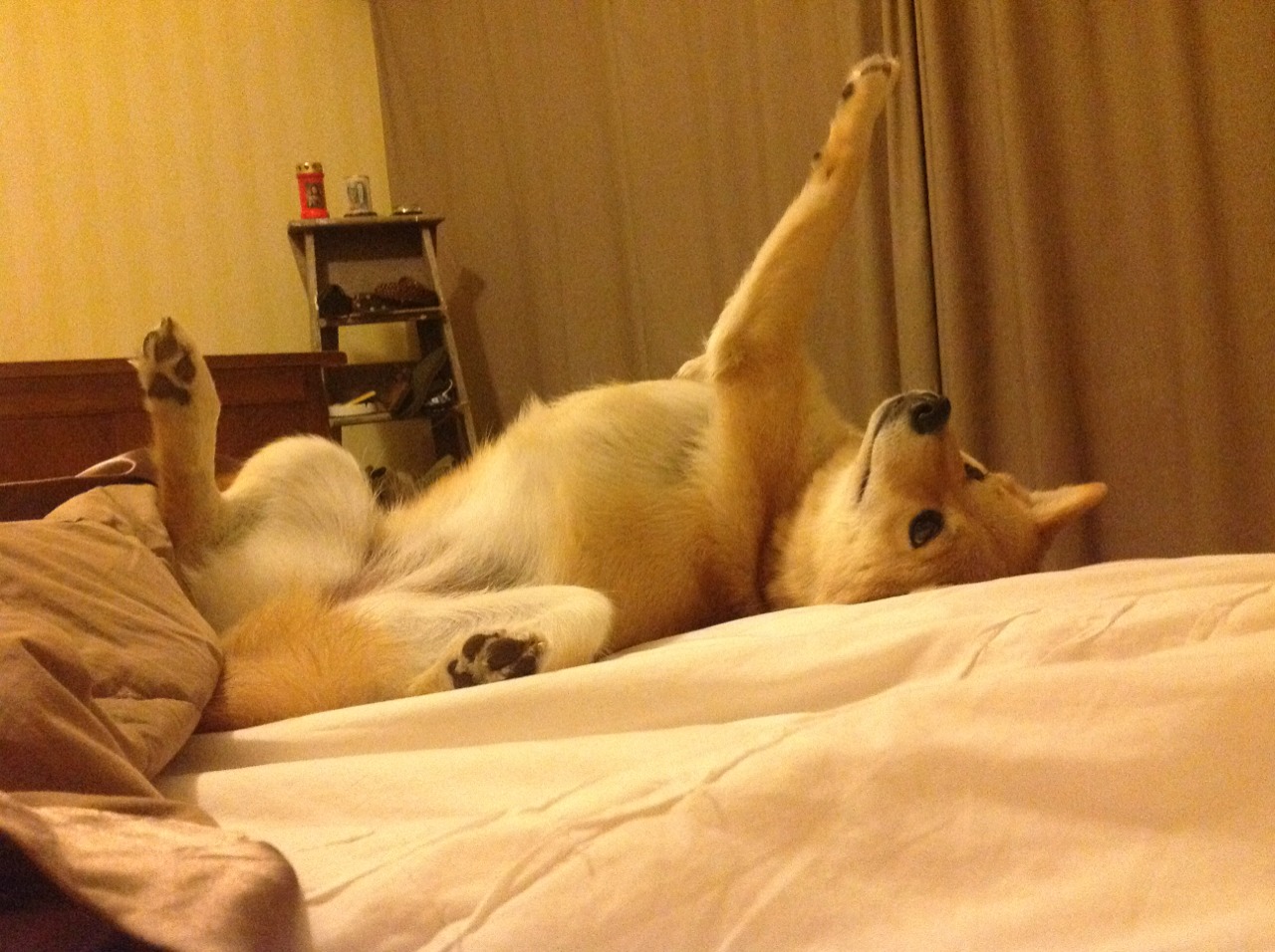 未来联盟:虚拟场景与直播互动开辟新蓝海,未来lol