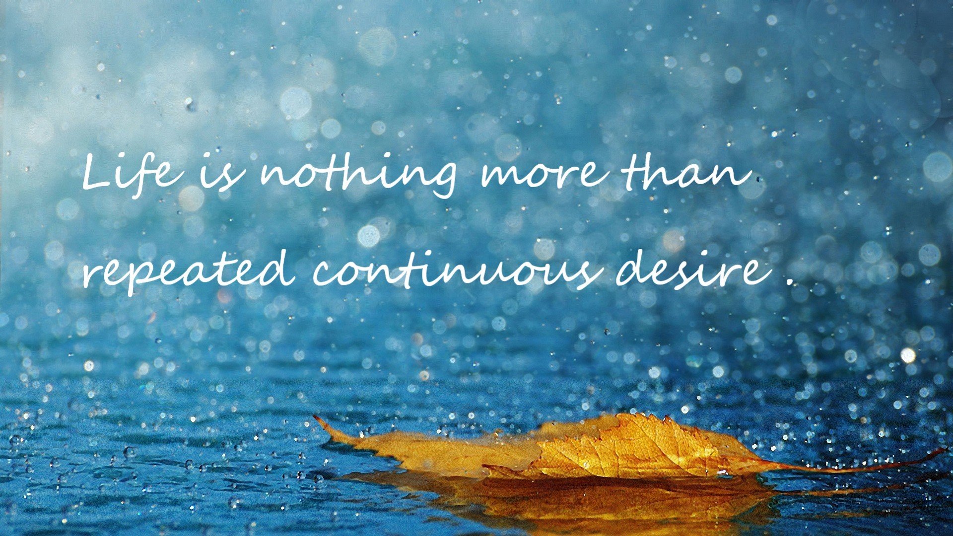 西甲中锋连续破门，助球队稳坐榜首，西甲最佳中卫