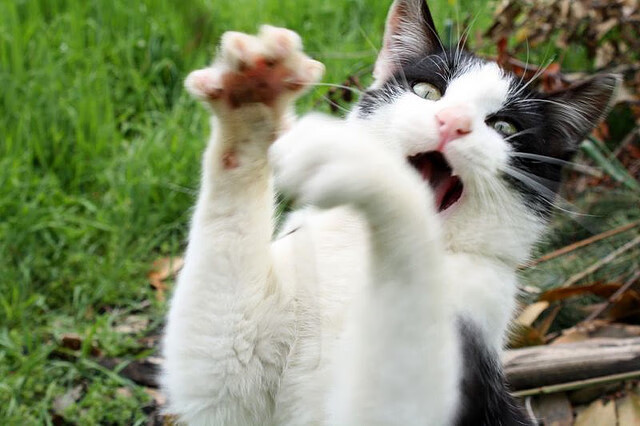 西甲俱乐部重视青训体系，未来可期，西甲俱乐部球队