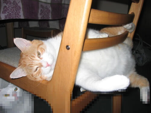 开云体育中国官网-女足世界杯赛场明星访谈，女足世界杯 美女