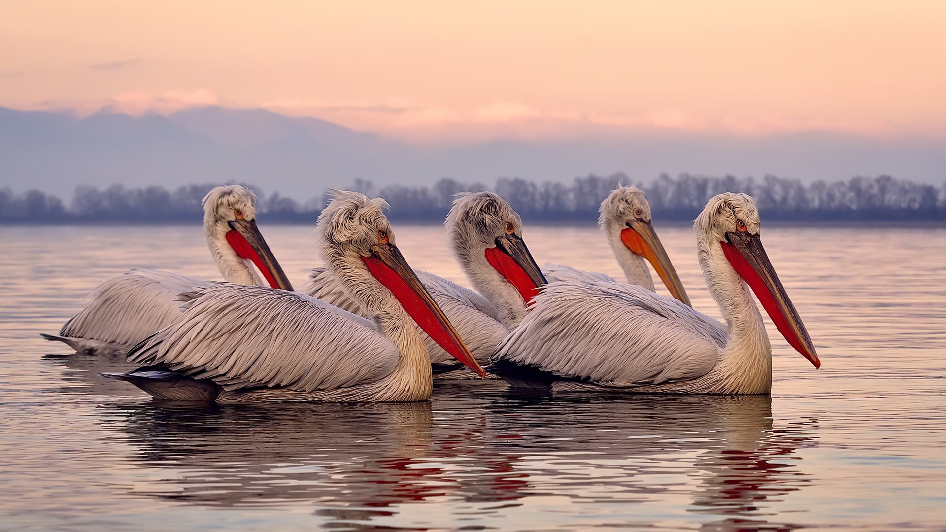 火箭全队手感火热三节定胜负,火箭队三巨头都是谁