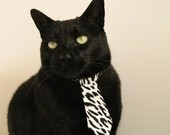 美洲队球迷组织举办庆祝活动,支持球队,美洲球队实力排名