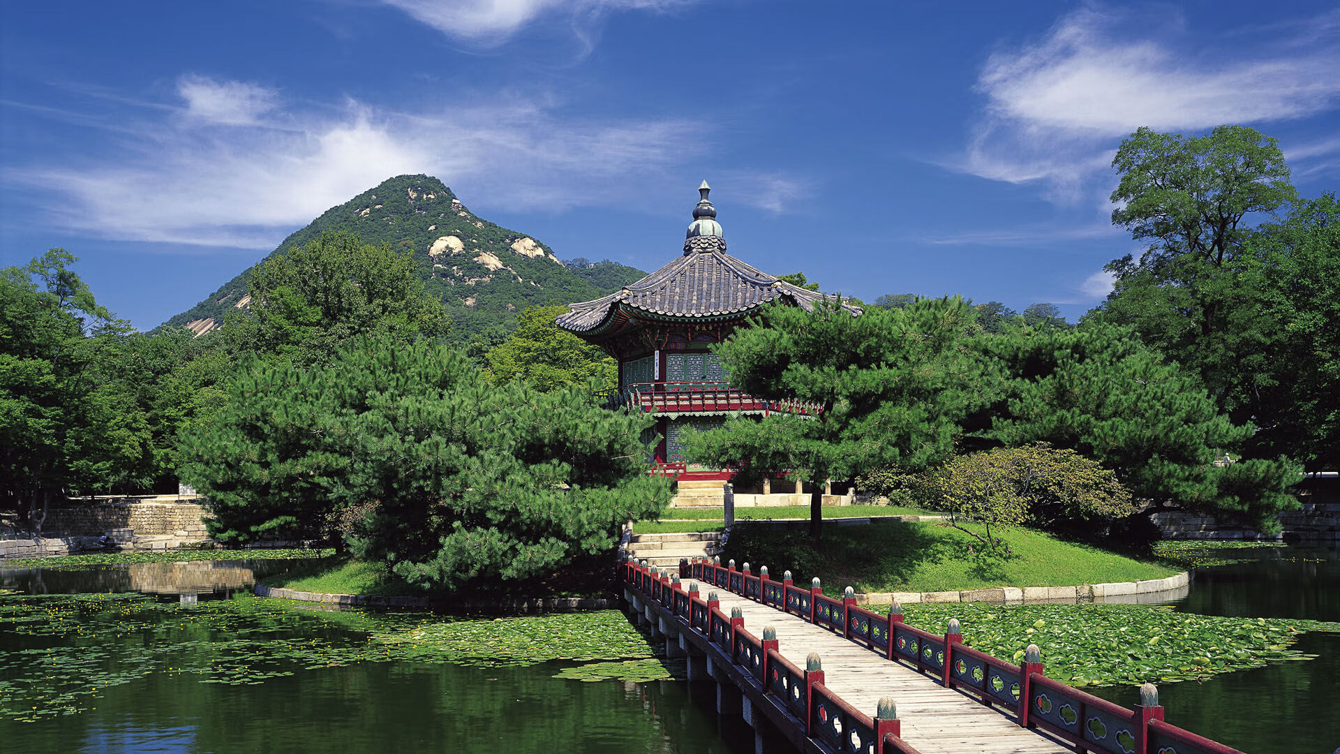 开云kaiyun-蓝队外援发挥不俗，为球队贡献超高分数，篮球外援最多几个