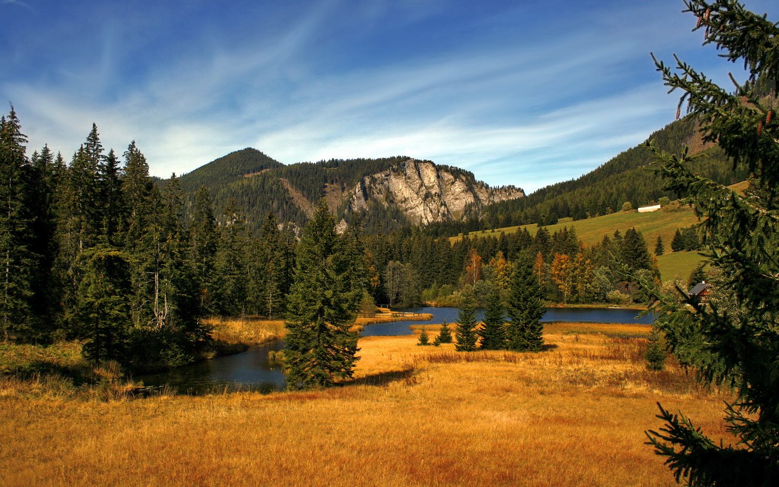 蓝队外援发挥不俗,为球队贡献超高分数,篮球外援最多几个