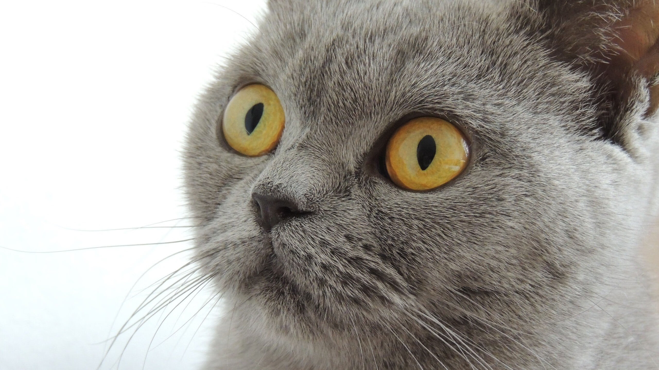 CBA赛场纪律风波频发联盟加大处罚力度，cba处罚规则