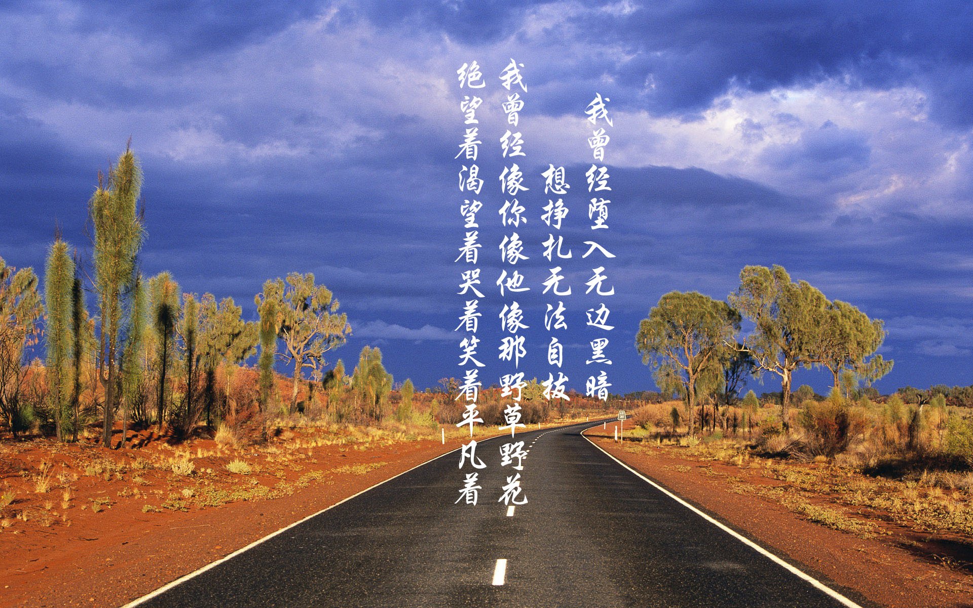 加拿大队赛制透视:如何在赛制中提升每一位球员的表现,加拿大队队员