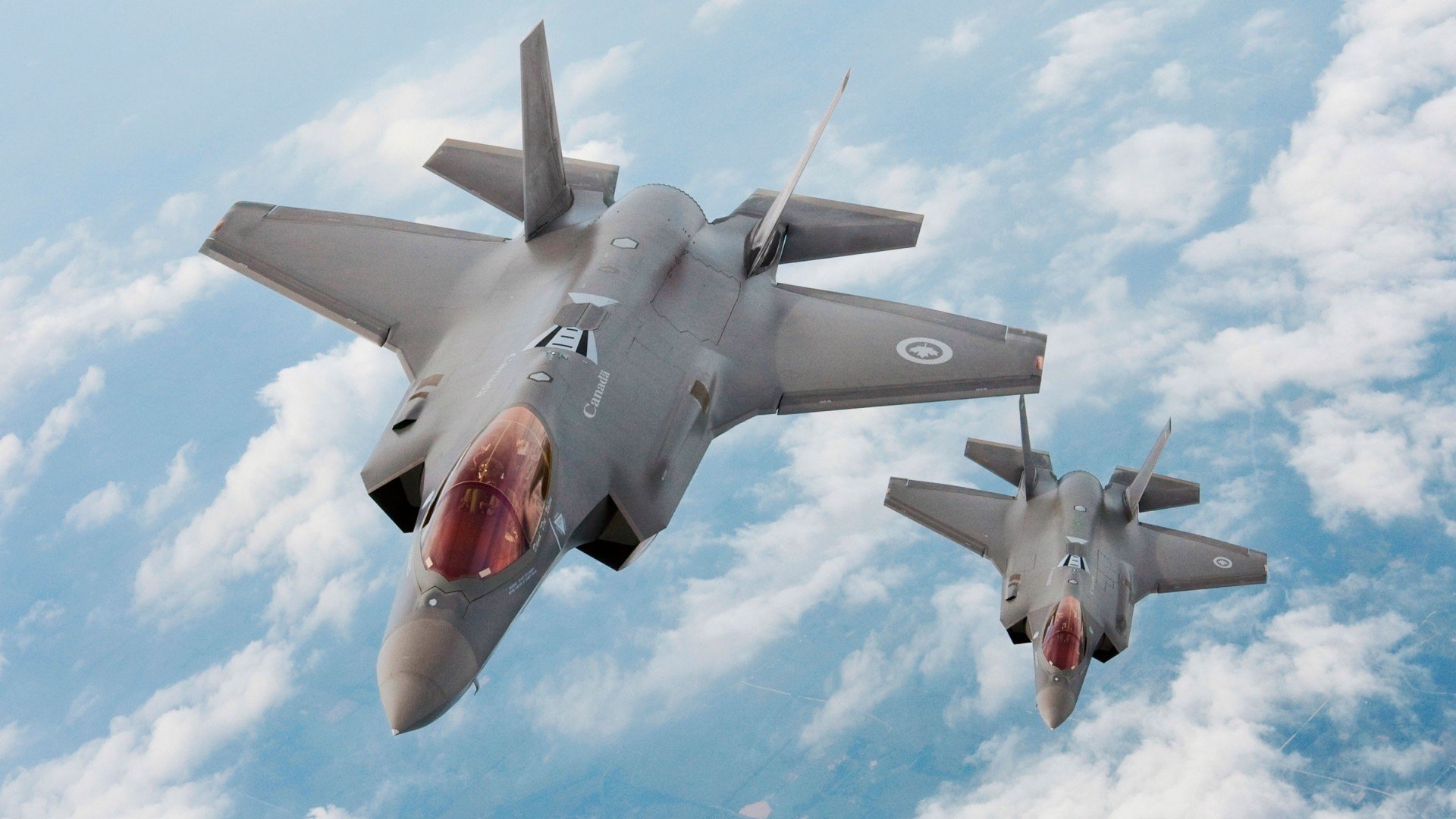 职业联赛伤病数据未建立公开平台