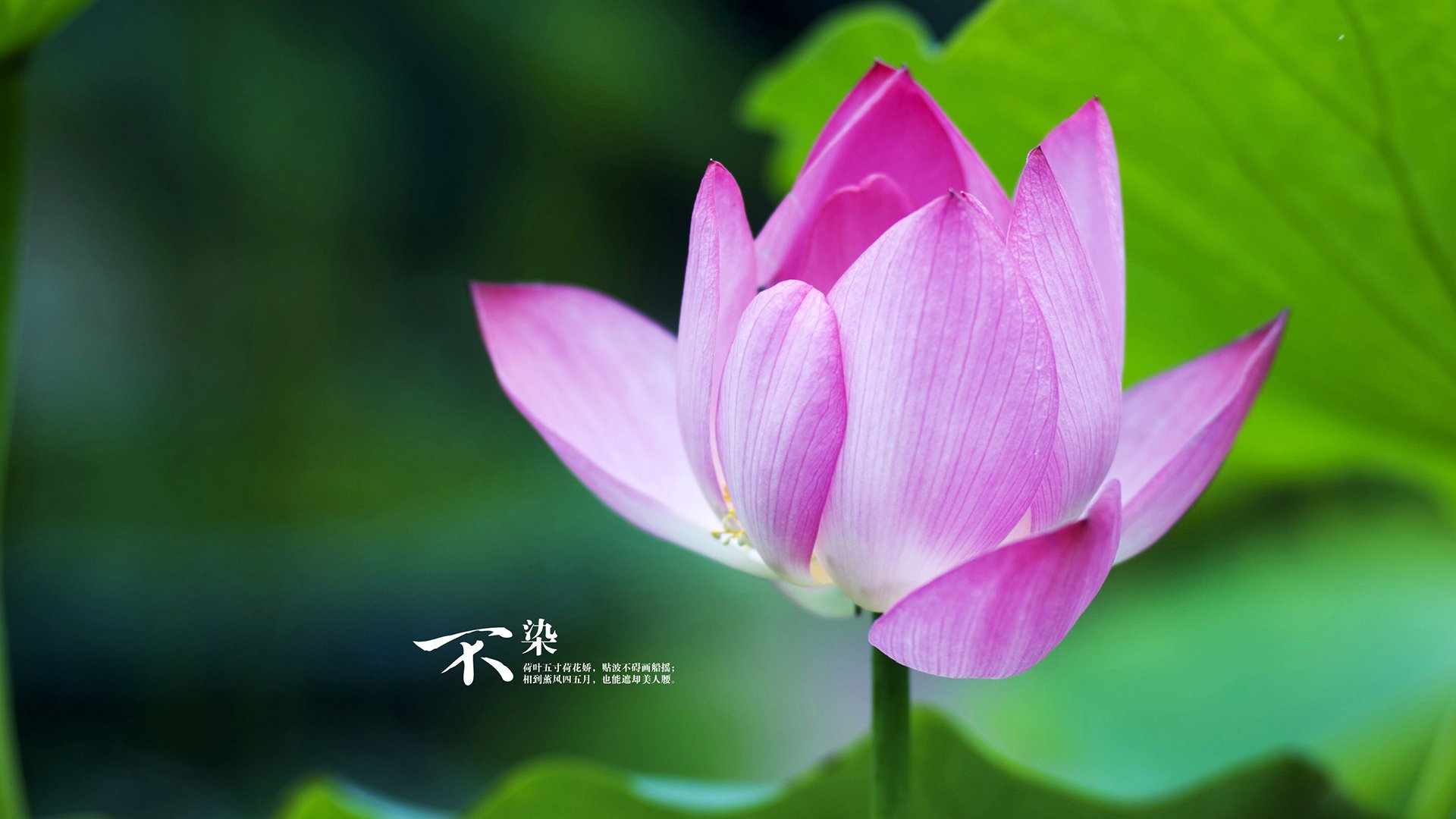 高节奏打法下防守球员是否易体能枯竭,防守强度大时怎么进攻