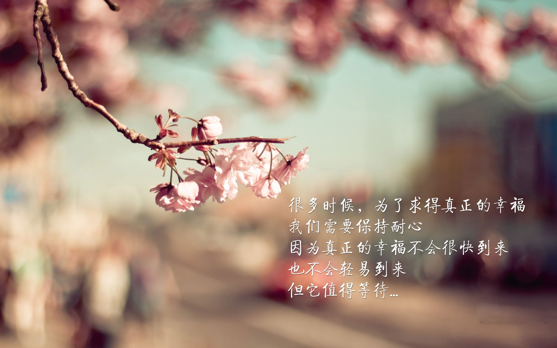 开云下载-球迷联名请愿扩大赛场容量，主办方回应积极，球队球迷