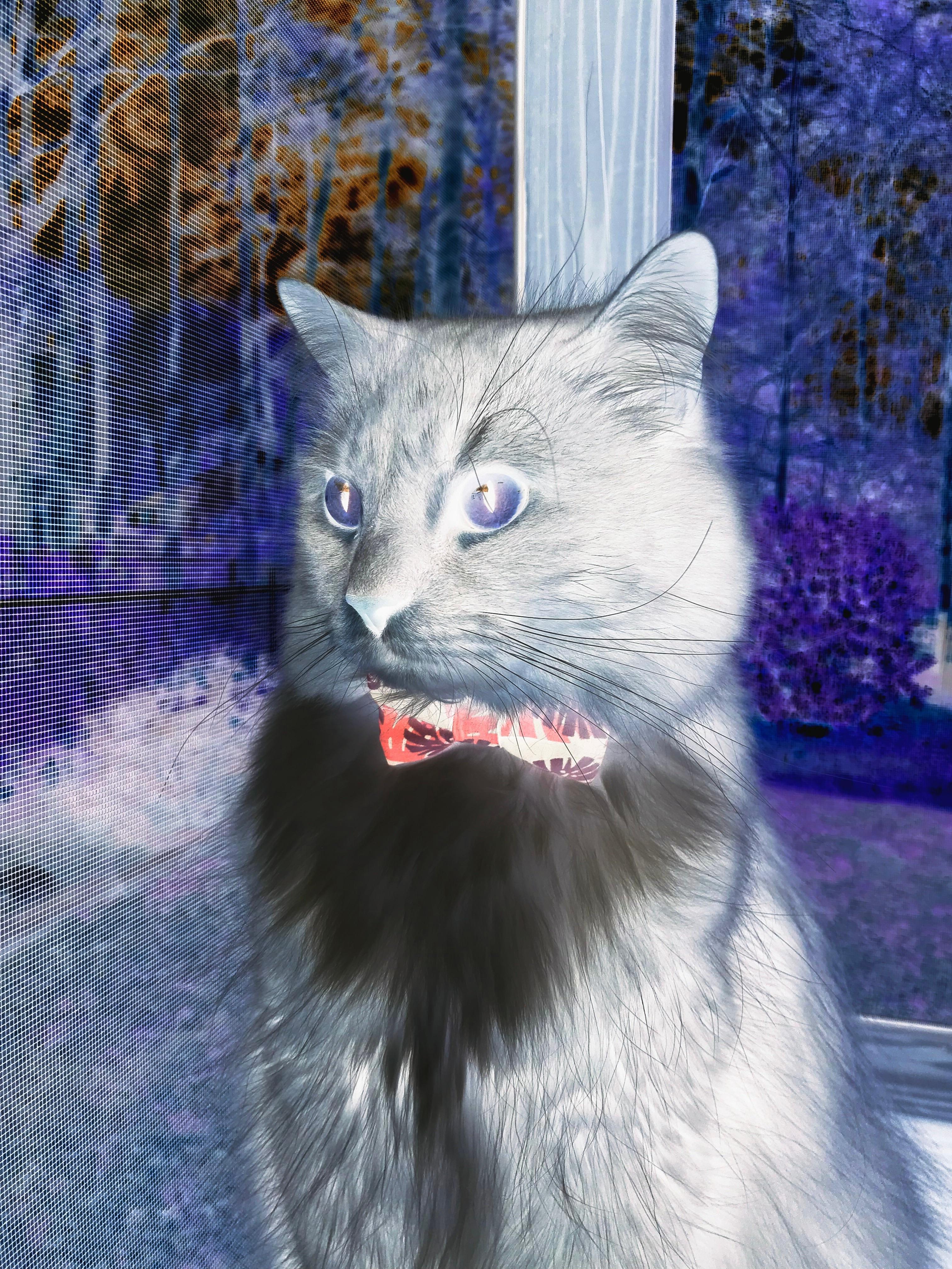 西甲赛季的商业运营创新实践,西甲竞争力