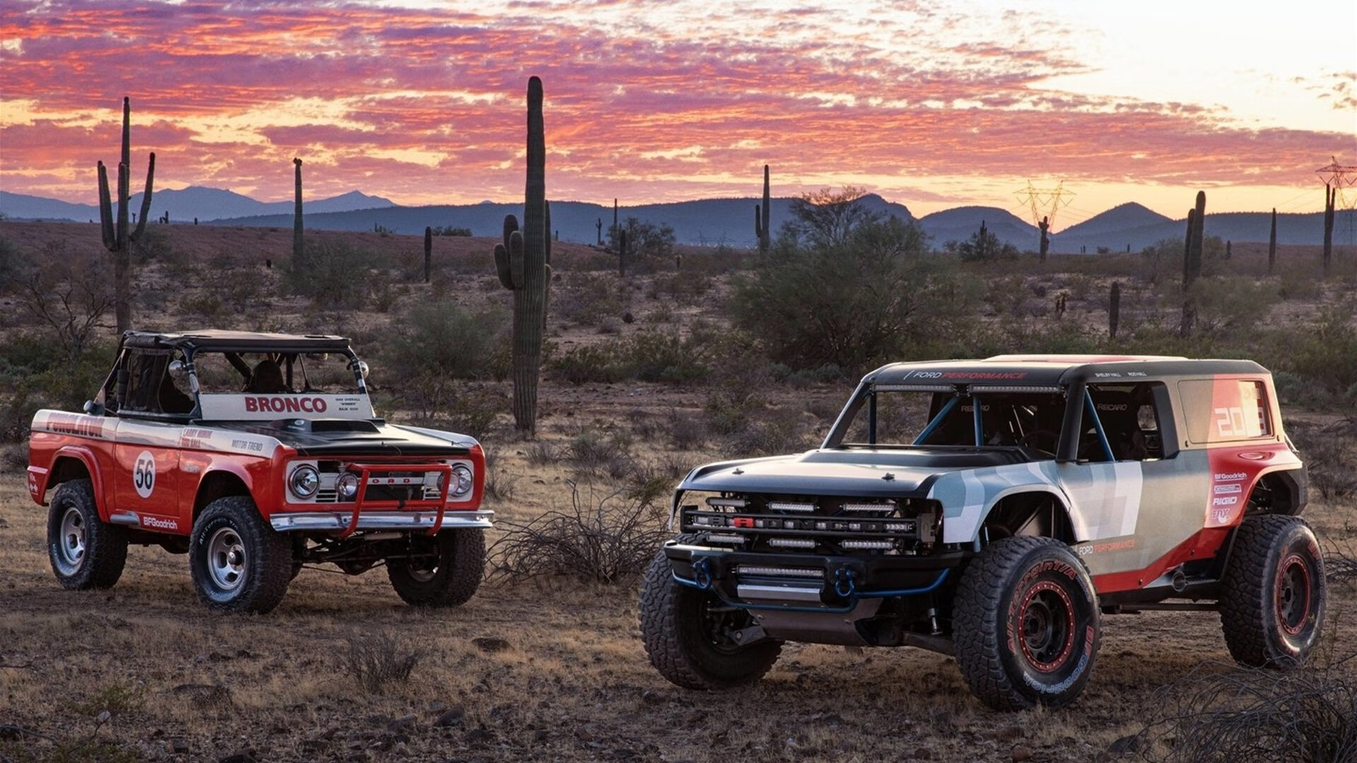 kaiyun开云·官方网站-谢佩玲用实力诠释跳水魅力，谢佩新简历