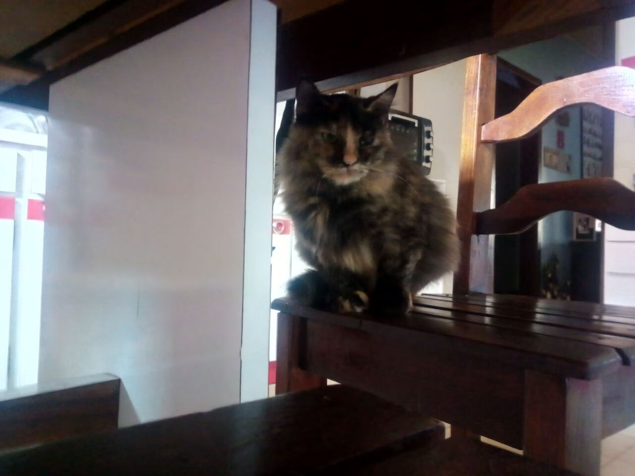 开云官方-骑士训练结束后球员集体志愿清洁球馆，骑士队人员