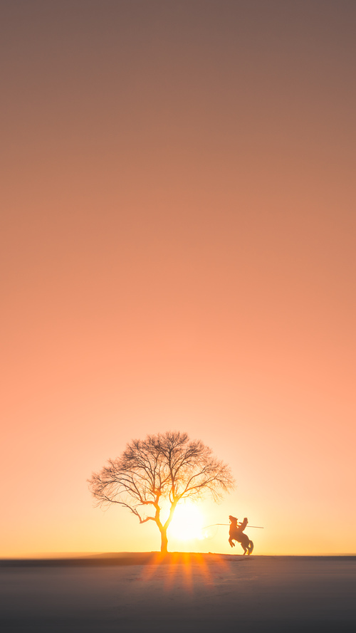 kaiyun网站-苏格兰橄榄球赛季进步，逐步接近世界强队，苏格兰橄榄球联赛